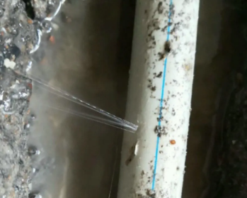明光卫生间测漏水多少钱