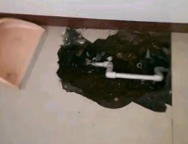 明光卫生间测漏水多少钱